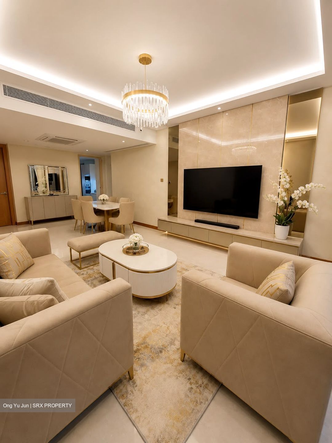 Cairnhill Crest (D9), Condominium #589300551